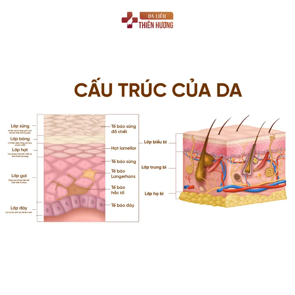 8 Sai Lầm Điều Trị Nám Da Gây Hậu Quả Nghiêm Trọng & Cách Khắc Phục
