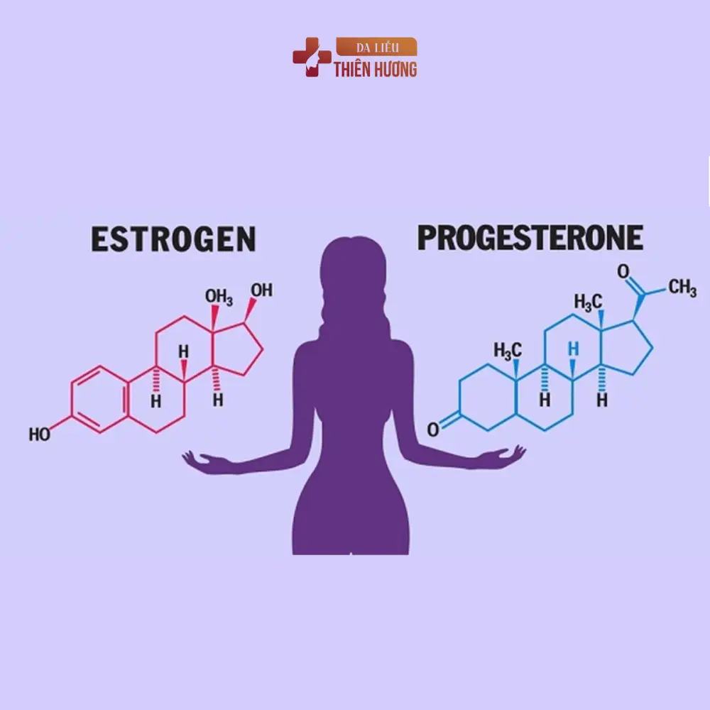 Cấu Trúc Da Nám: Melanocyte, Lớp Thượng Bì Và Cơ Chế Hình Thành Sắc Tố