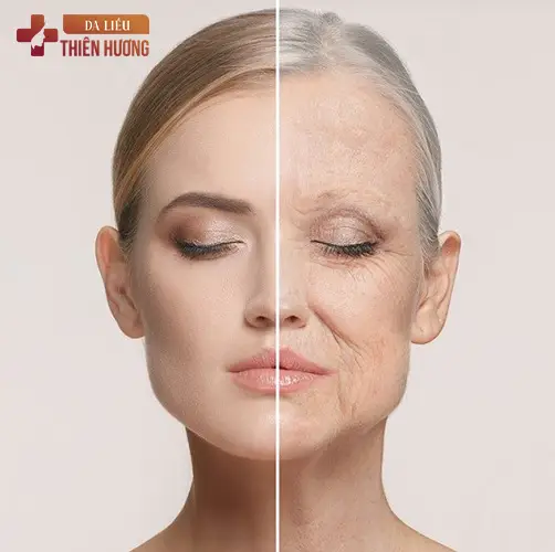 Giấc Ngủ Hỗ Trợ Điều Trị Nám: 5 Cơ Chế Sinh Học Cần Biết