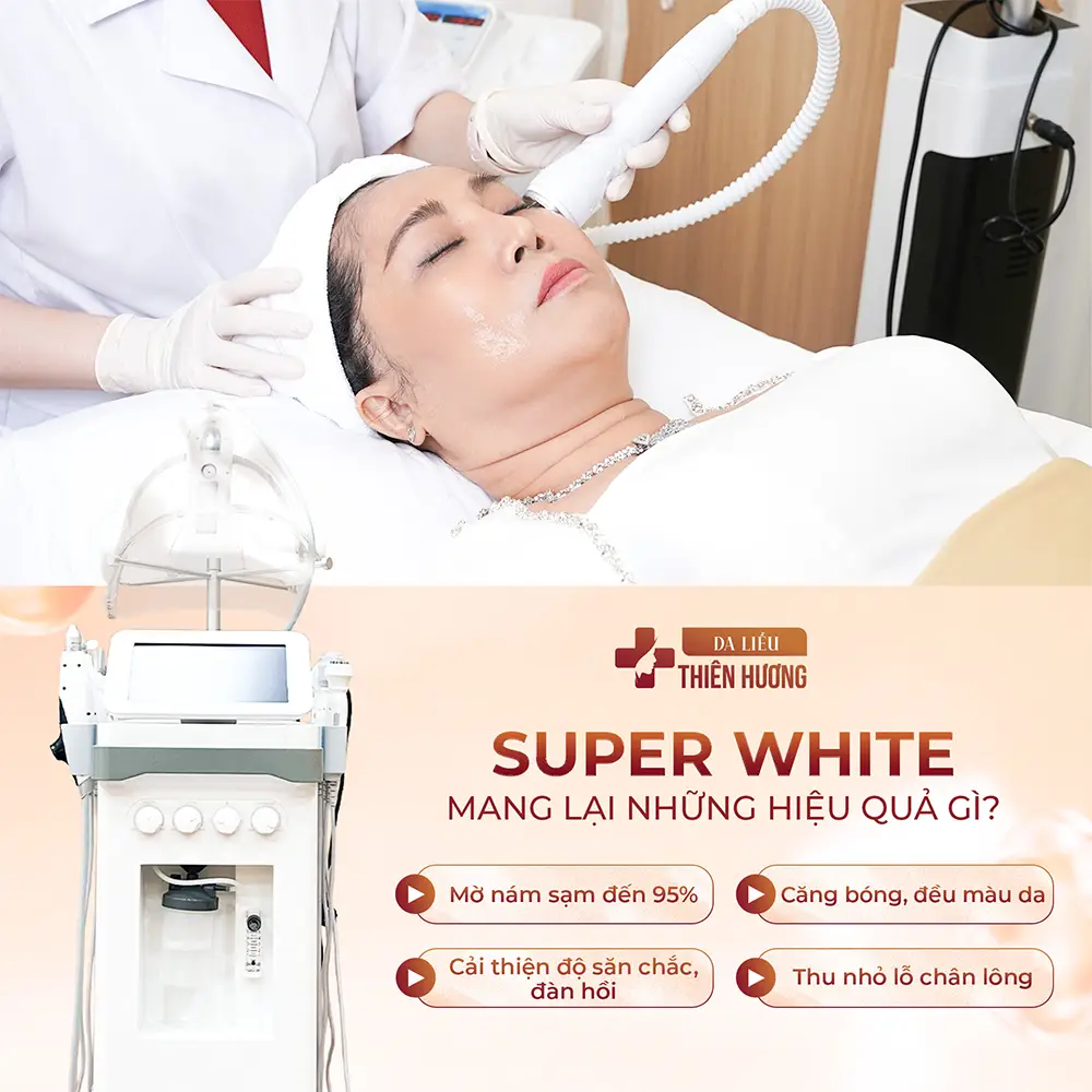 Lá Tía Tô Có Trị Nám Được Không? Hiệu Quả & Giới Hạn Cần Biết