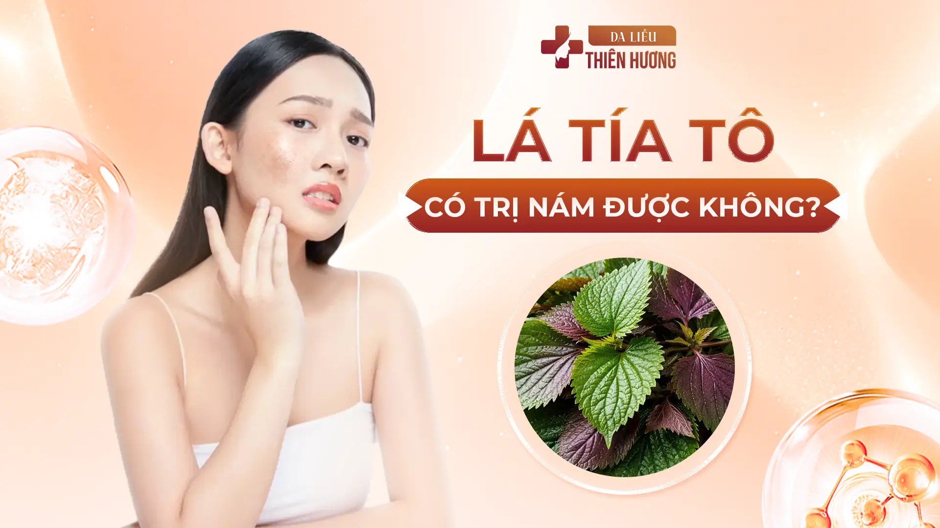 Lá Tía Tô Có Trị Nám Được Không? Hiệu Quả & Giới Hạn Cần Biết